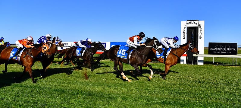 Racing club’s eye on future