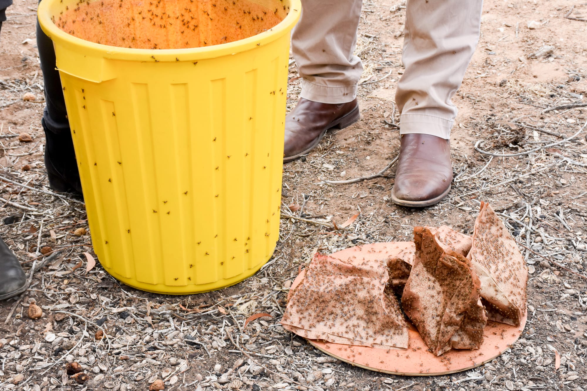 Fruit receipts no longer adequate